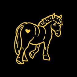 Caballitos Caballitos