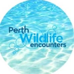 Perth Wildlife Logo